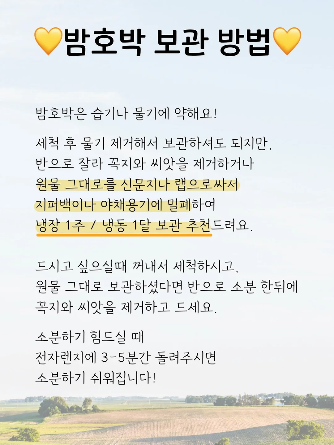 씨스터앤 EGF 앰플 2