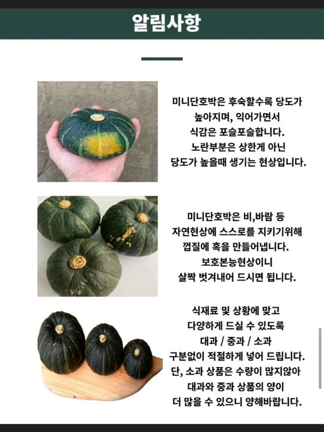 씨스터앤 EGF 앰플 4