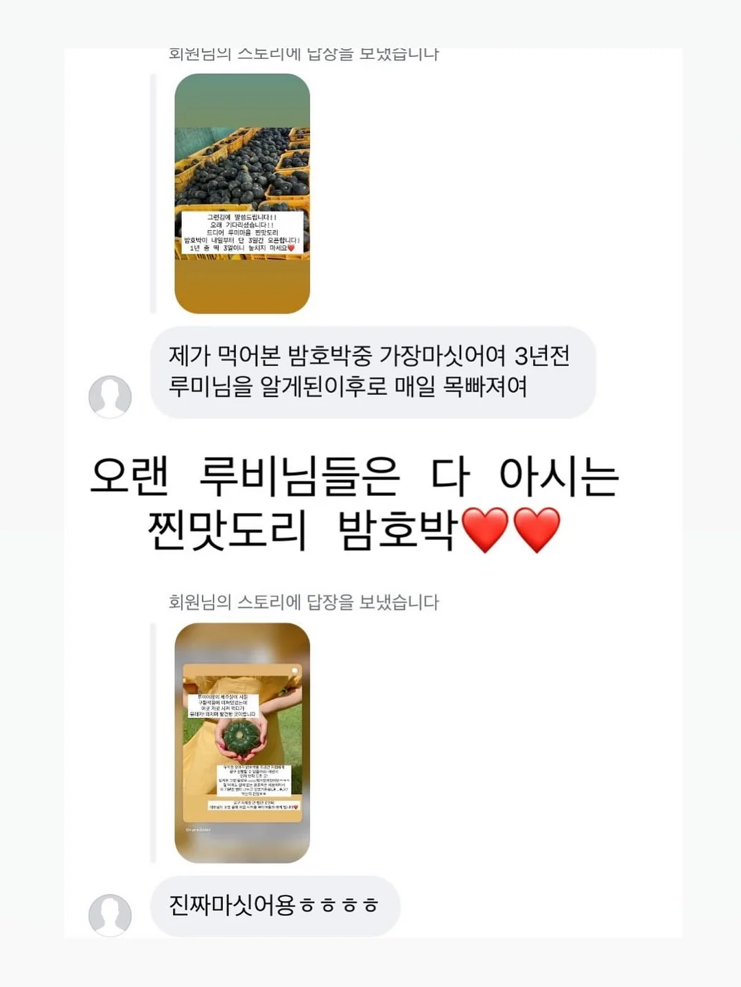 씨스터앤 EGF 앰플 6