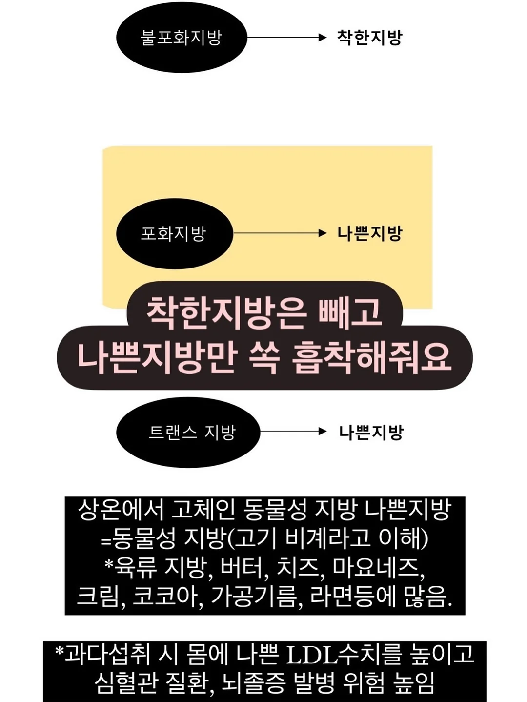 밴딩바지 10