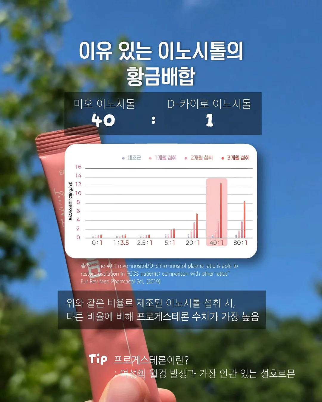 레고-자유관절드레곤 5
