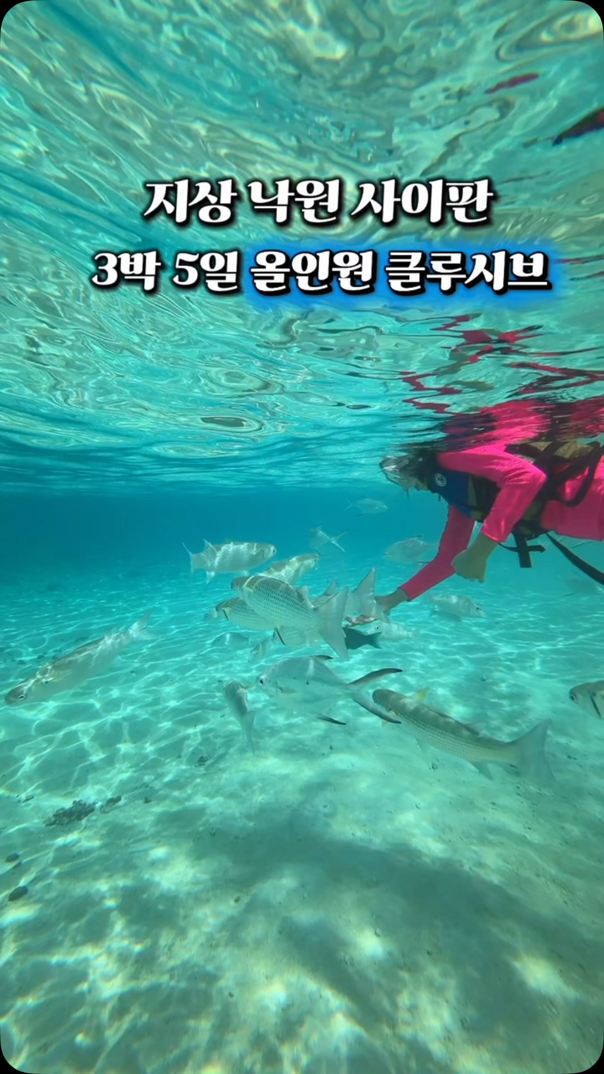 주방 이동식 수납 선반