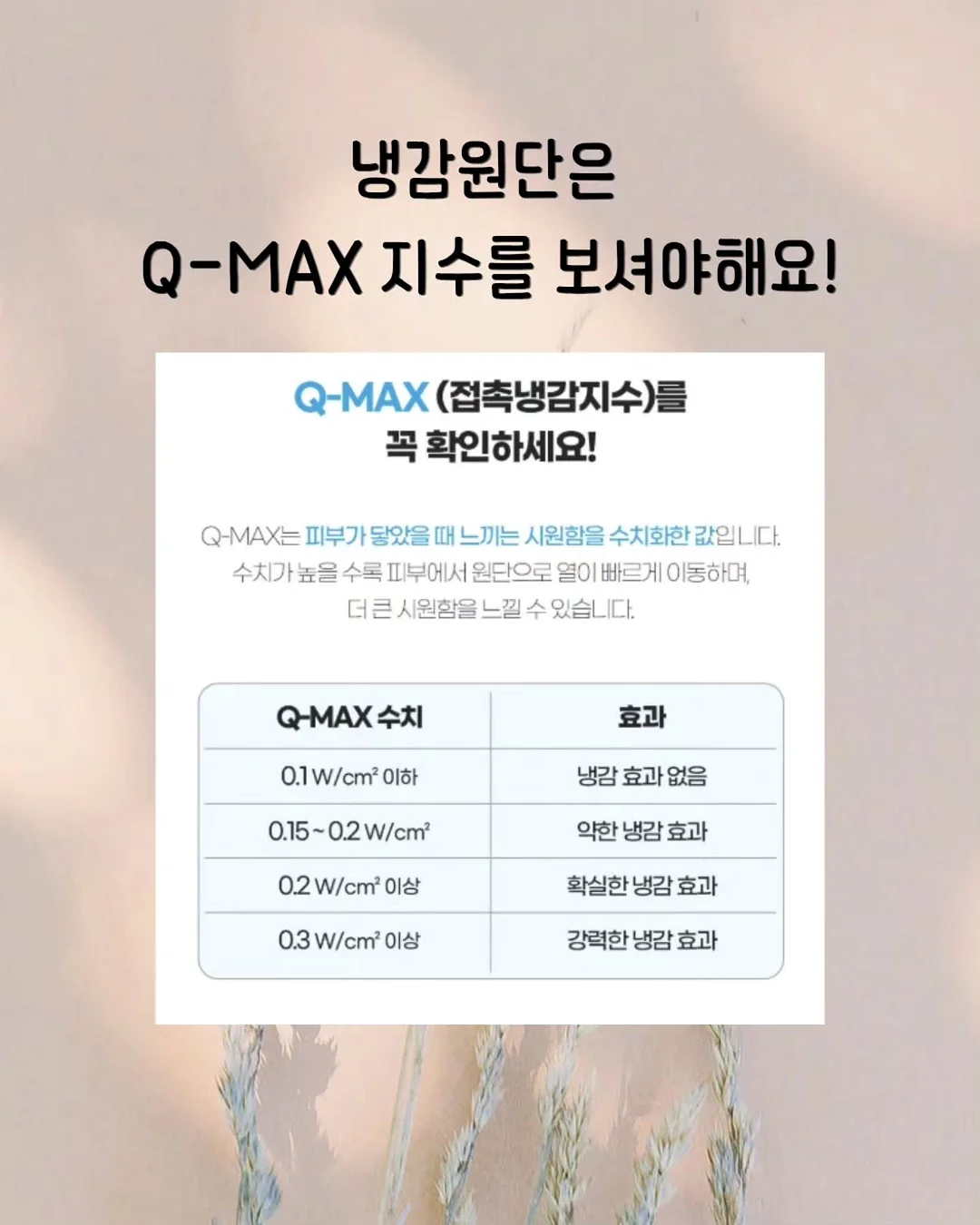 GOCF 초대권 11
