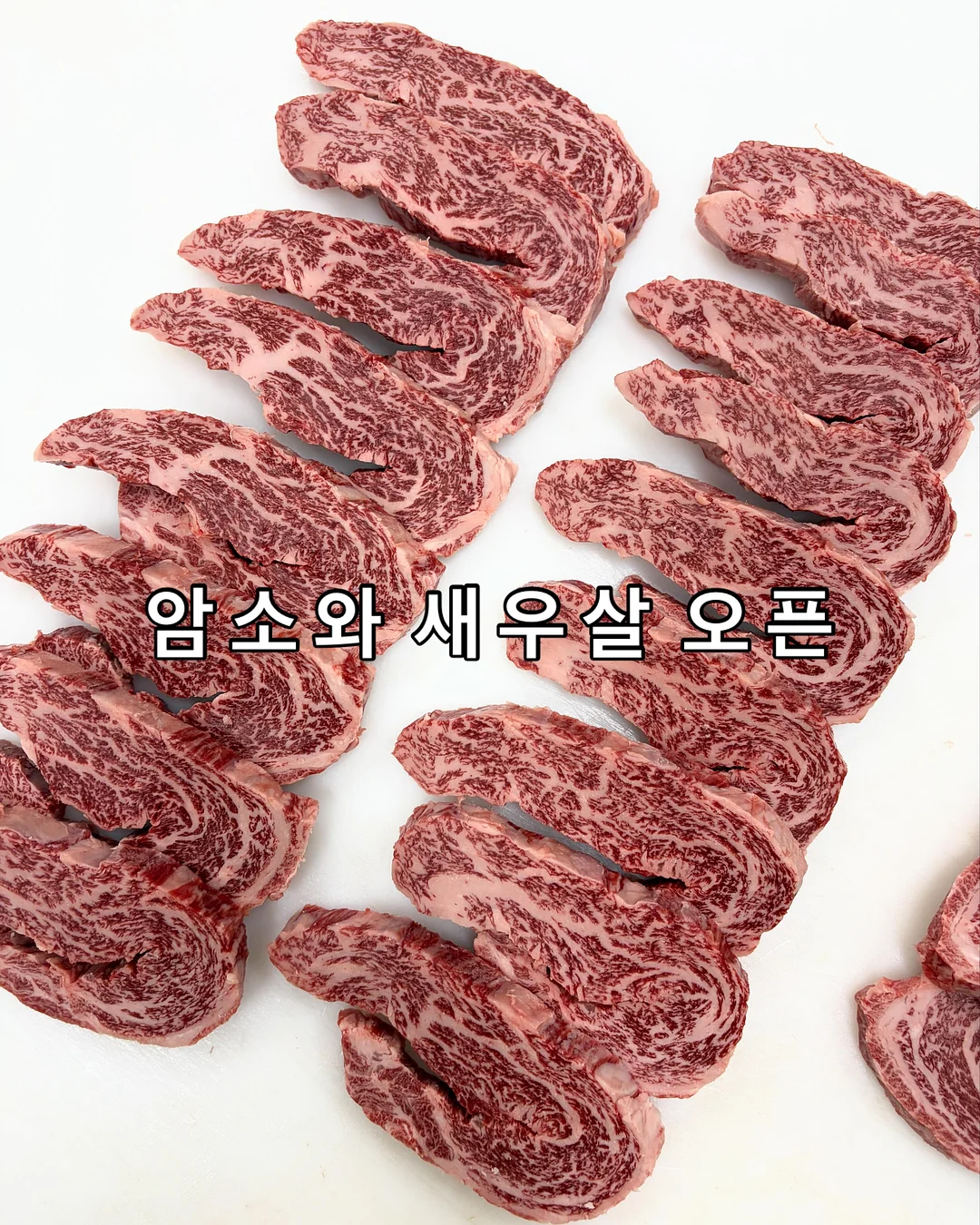 반려 로봇 2