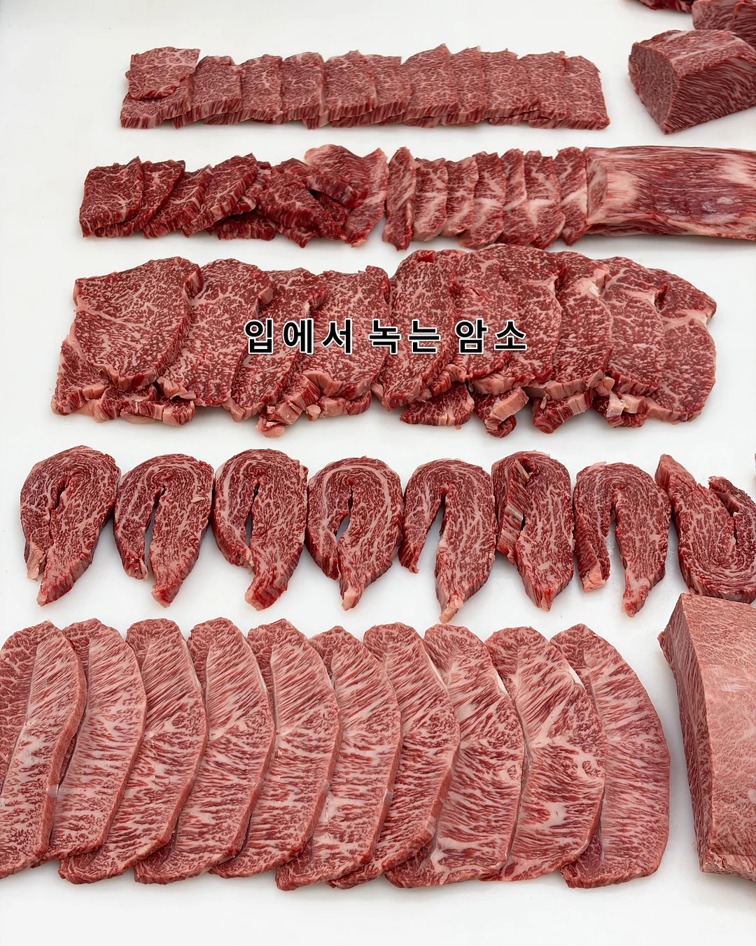 반려 로봇 3