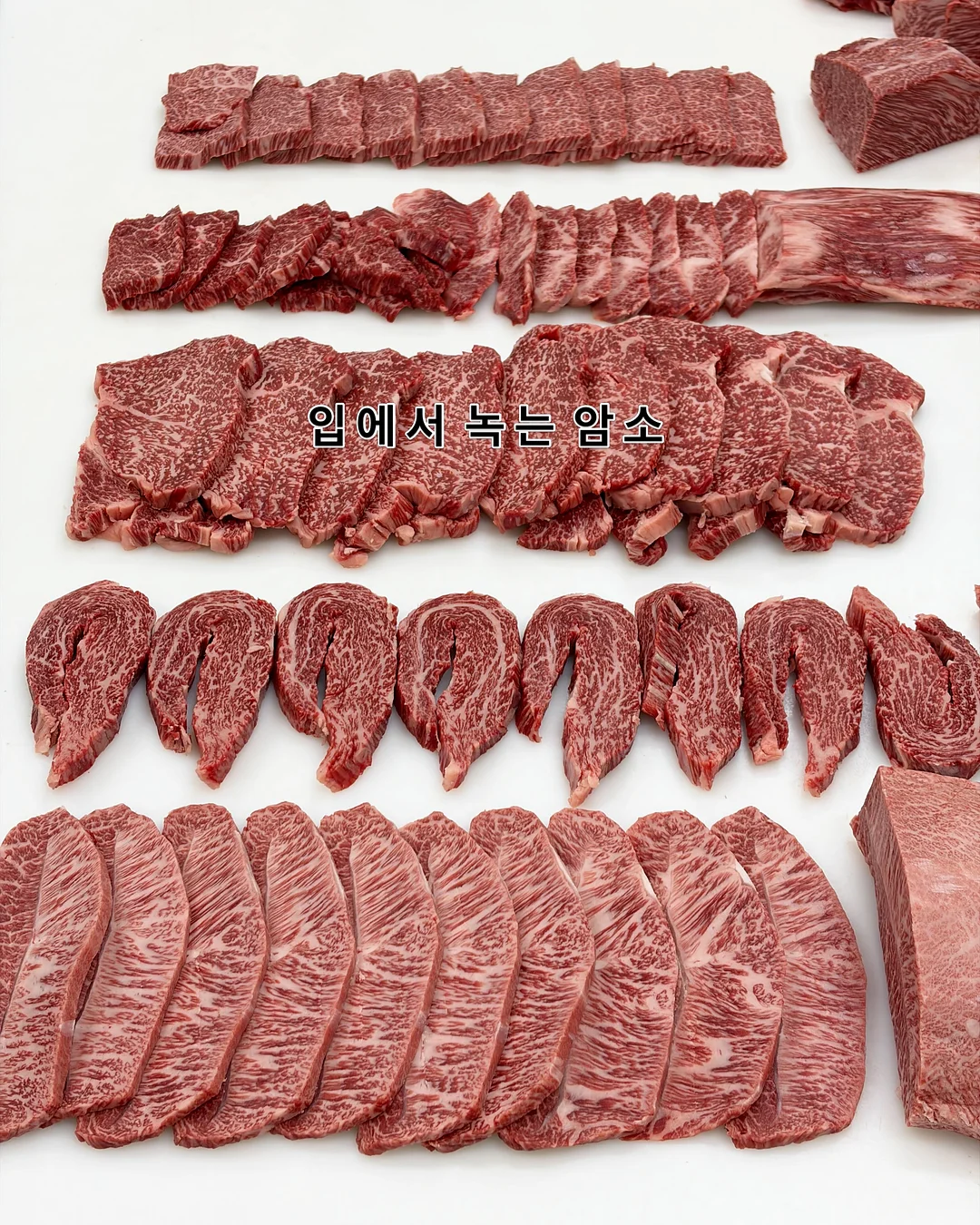 반려 로봇 4