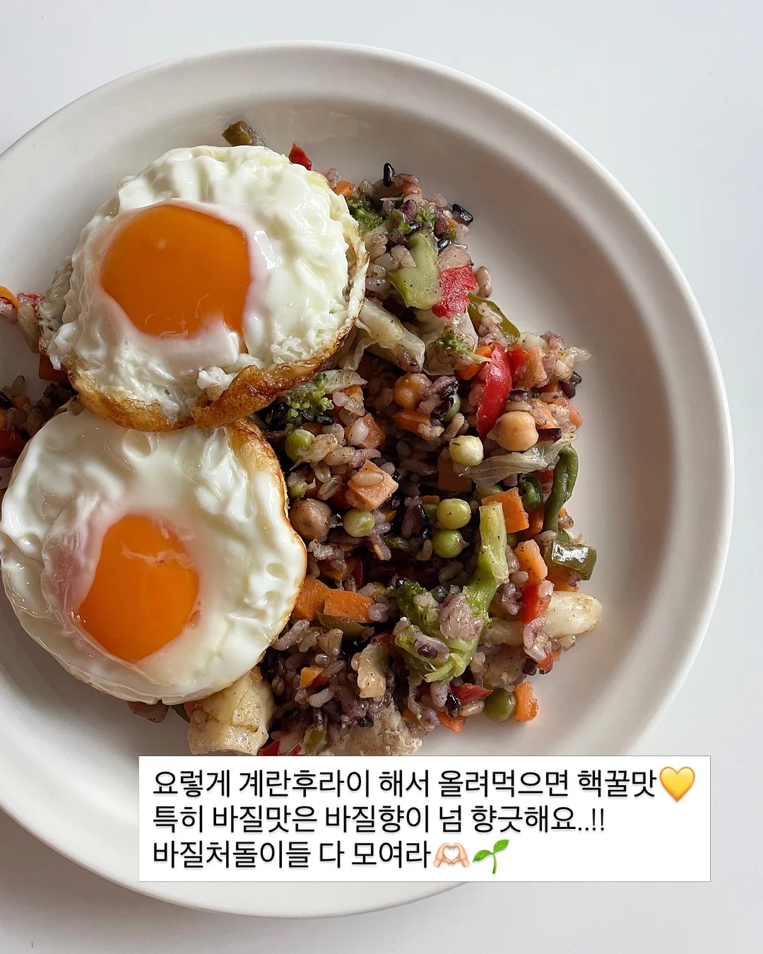 에너지별 지도법 8