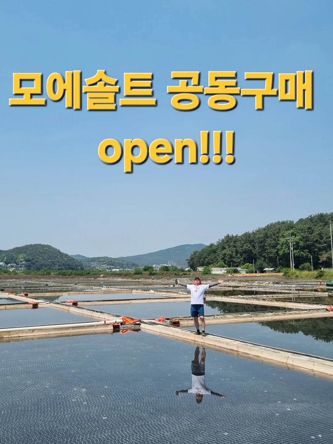 도시락케이크 1