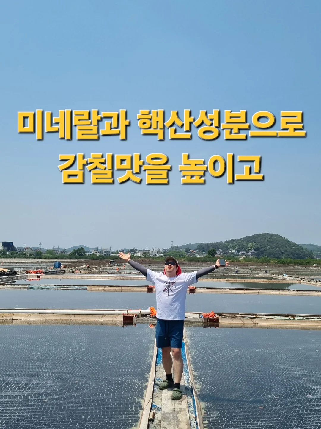 도시락케이크 3
