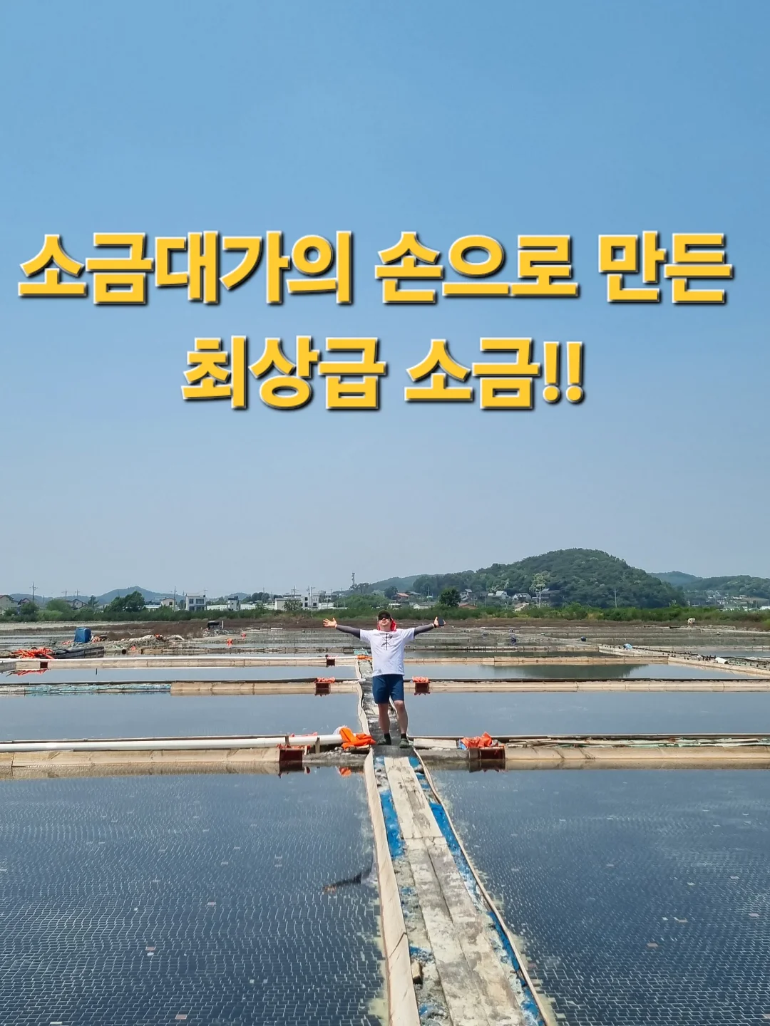 도시락케이크 4