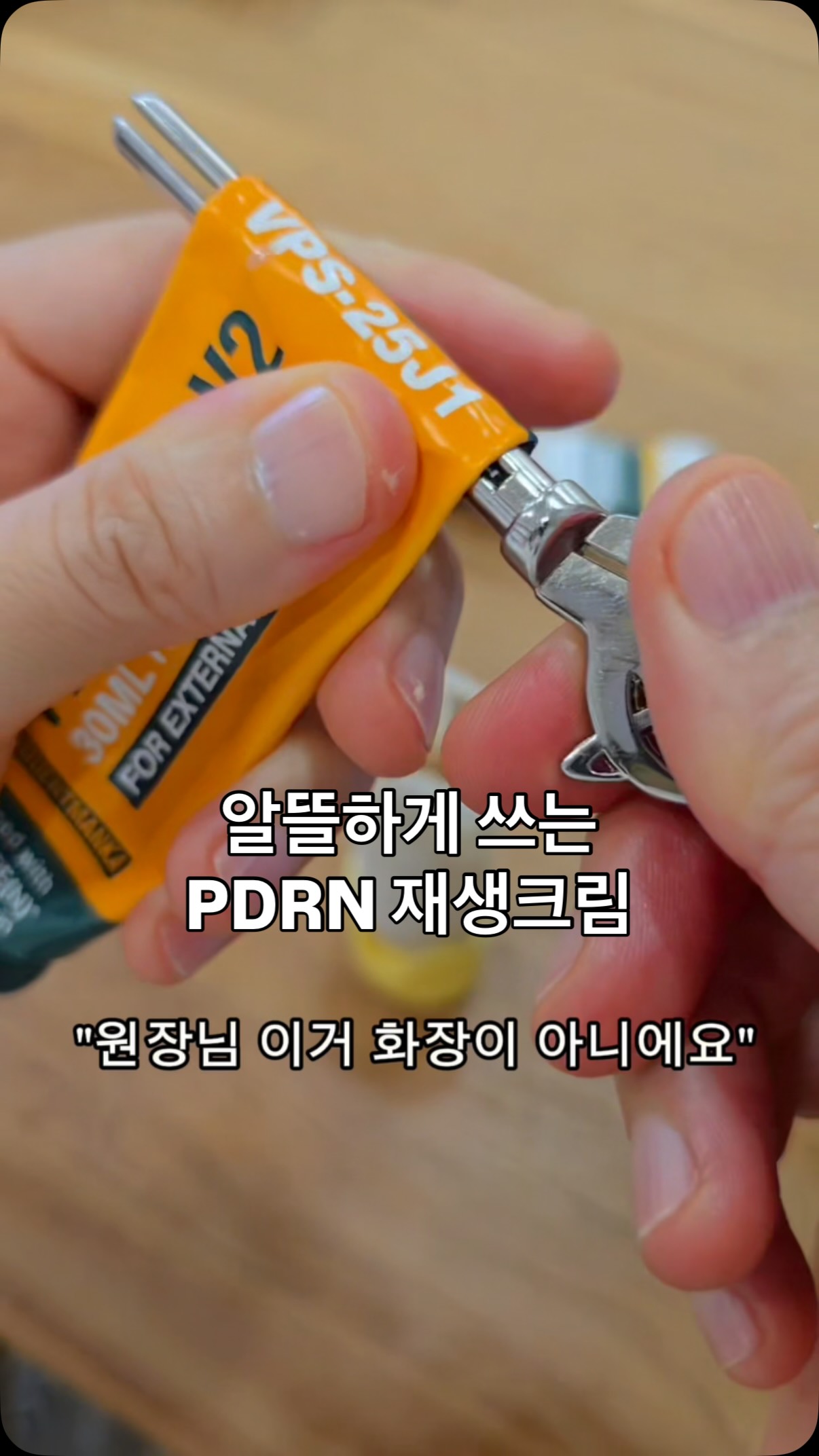 미니어쳐 바이올린