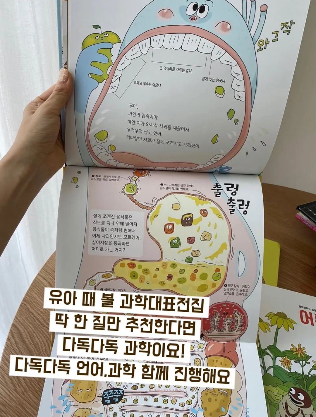 구명튜브 13