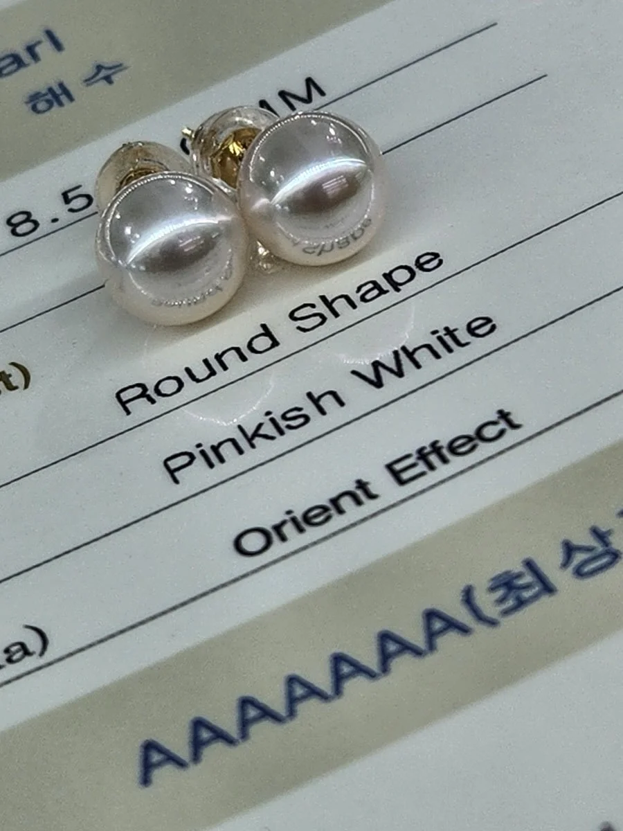 천연 보약 레시피 6