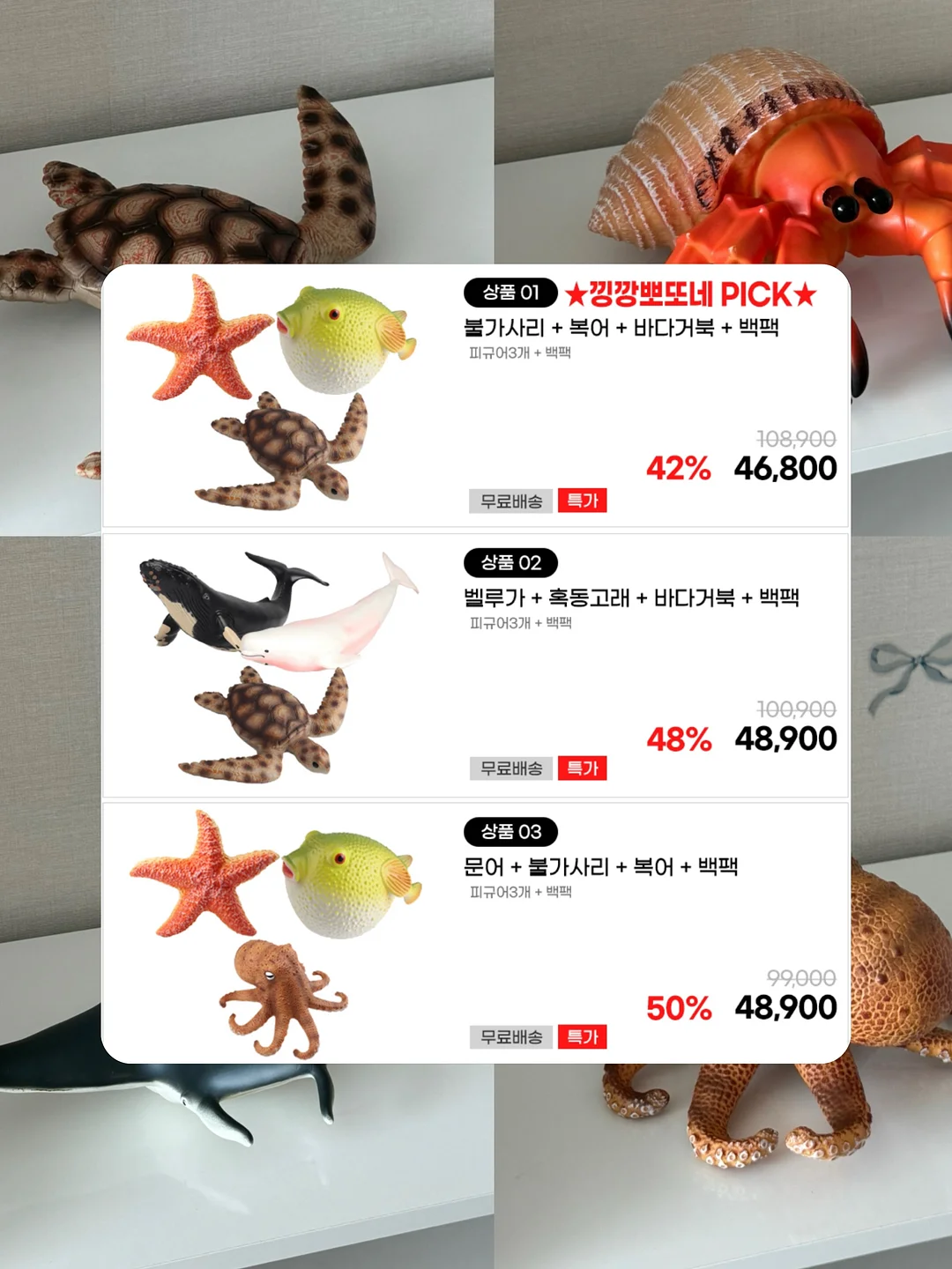 단호박 찰떡 15