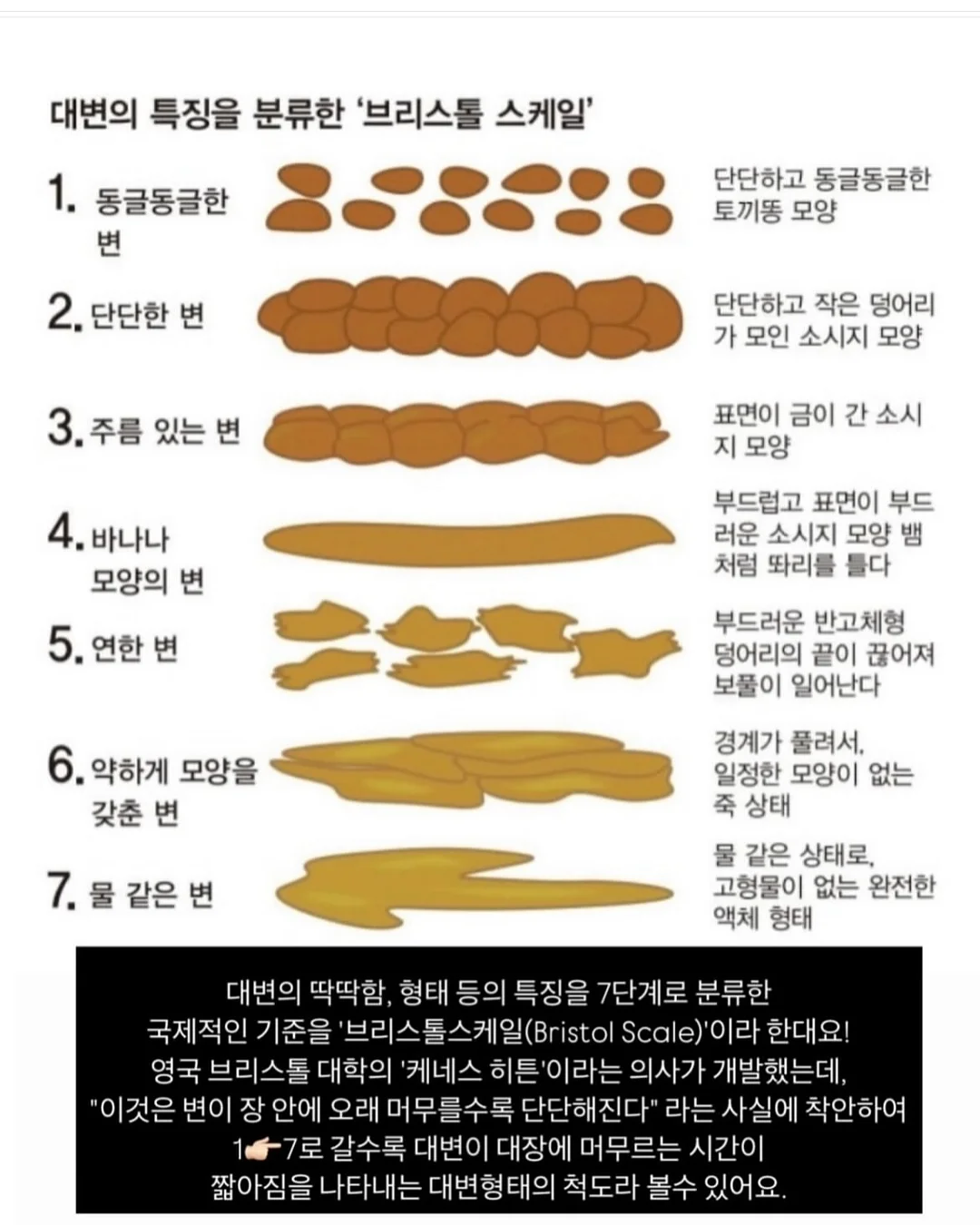 냅킨꽂이 3