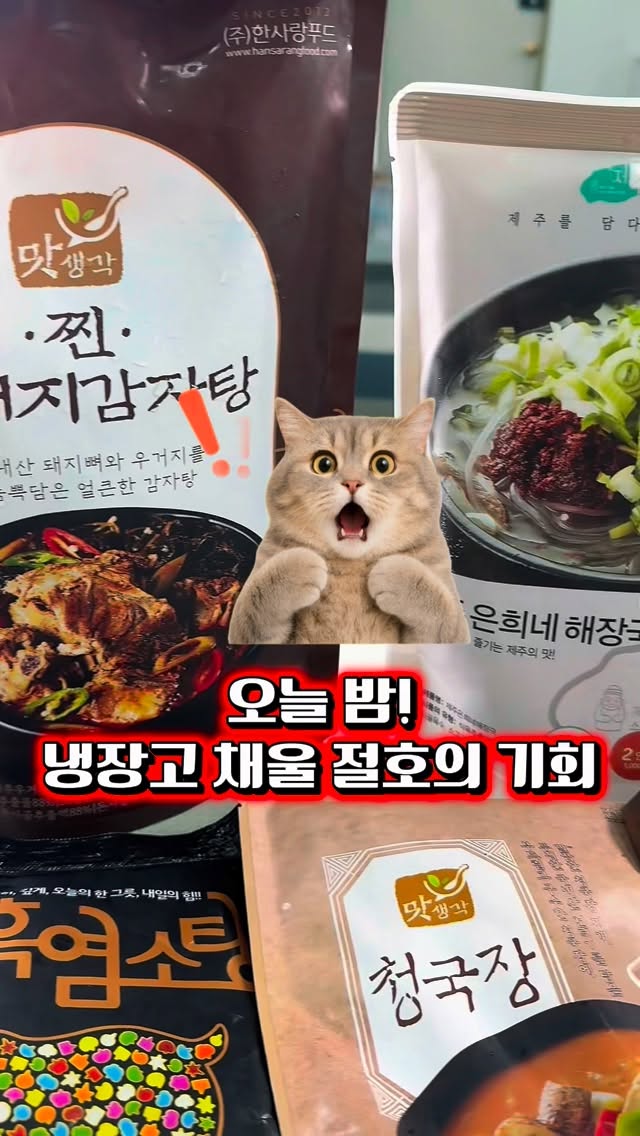 리페어젤