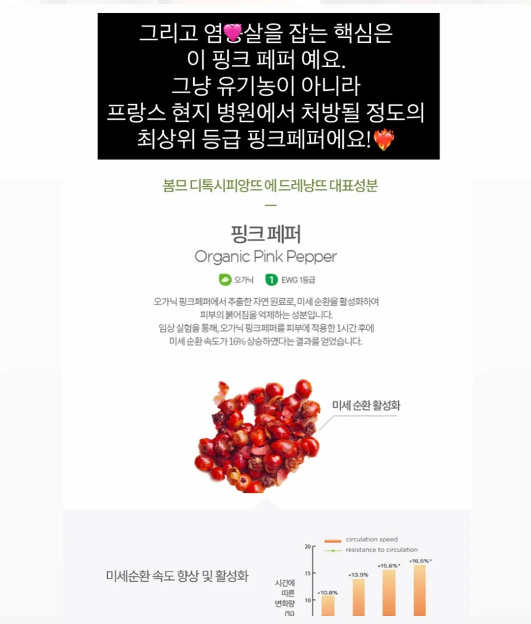 더맨디 노아셋업 11