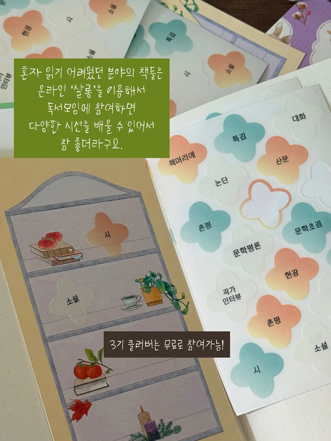 아랫배 체지방 샐러드 11