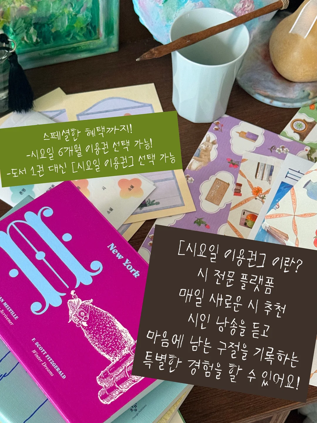 아랫배 체지방 샐러드 14
