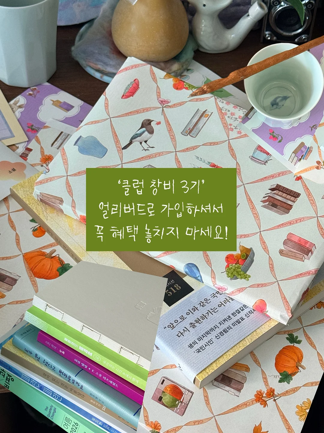아랫배 체지방 샐러드 15