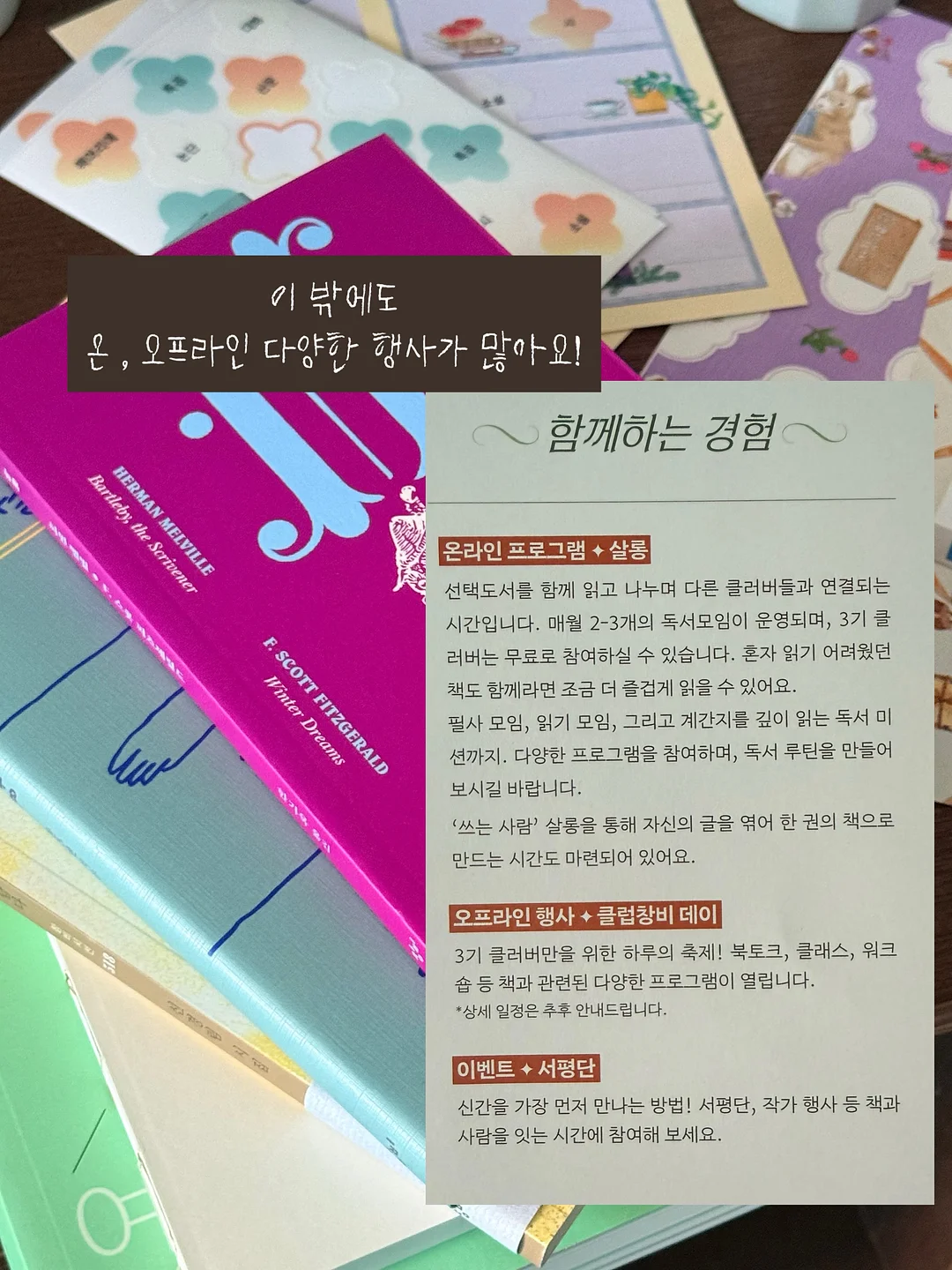 아랫배 체지방 샐러드 10
