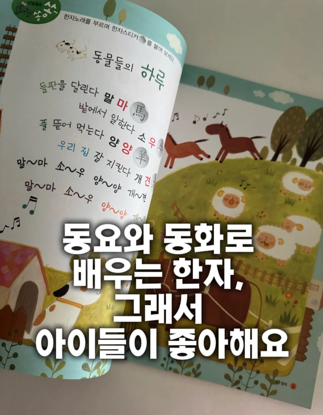 캐논 파워샷 s40 디지털 카메라 1