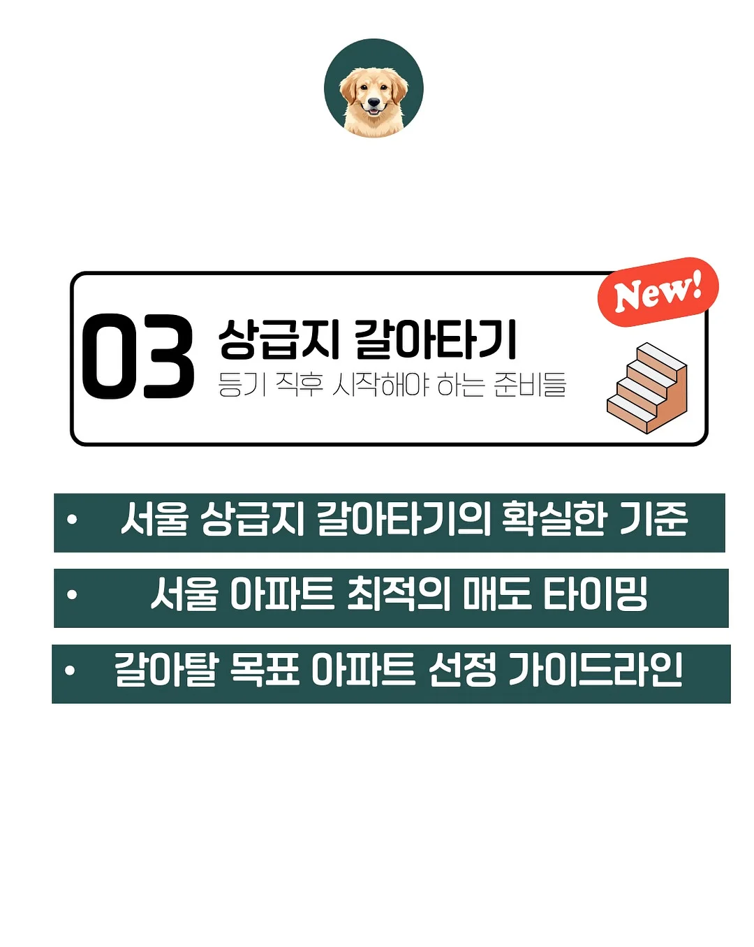 데코아르 스테인리스 자동 센서 휴지통 10