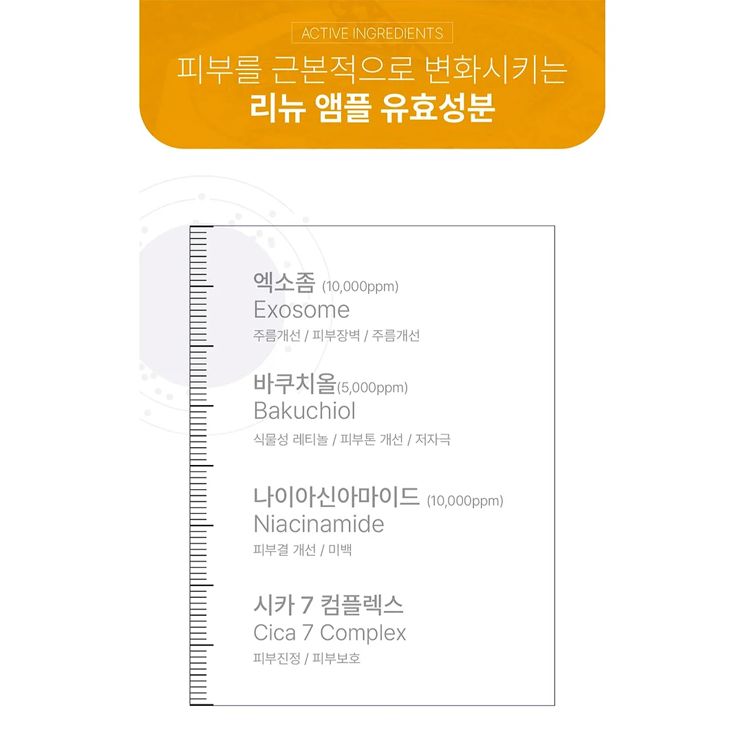 아르기닌 마그네슘 에너지 4