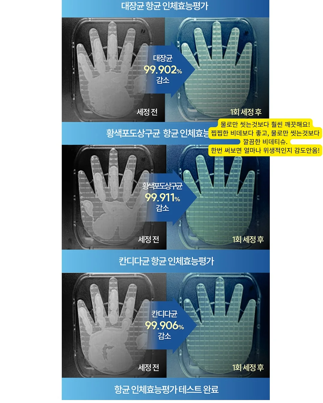 꽃 관리 방법 12