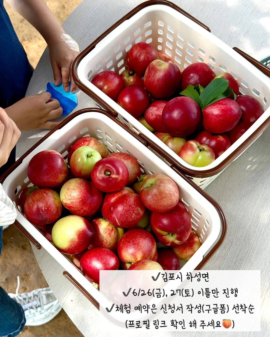 세미 스트레이트 라이트 아이스 블루 워싱 데님 5