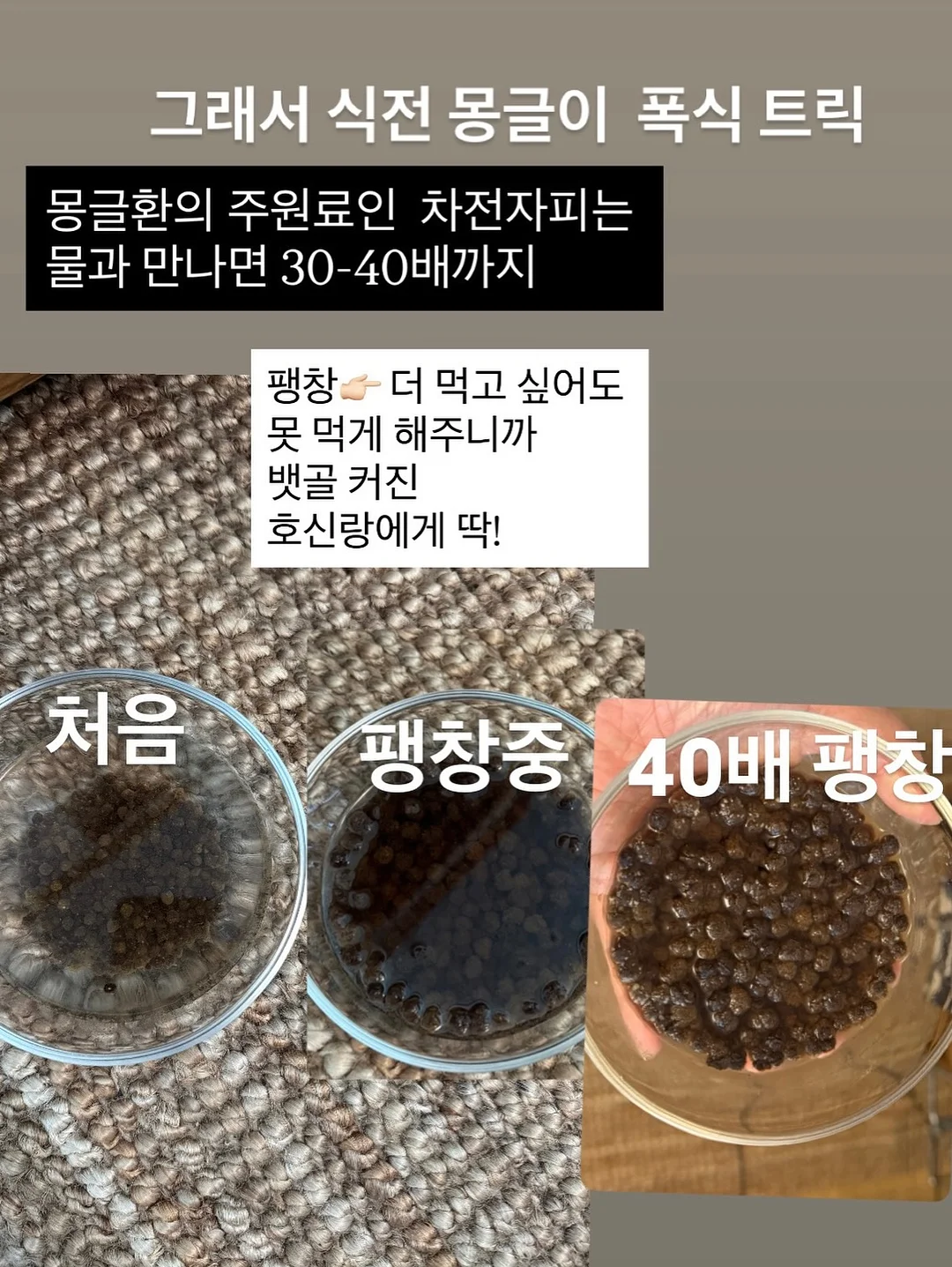 흑자 제거 시술 14