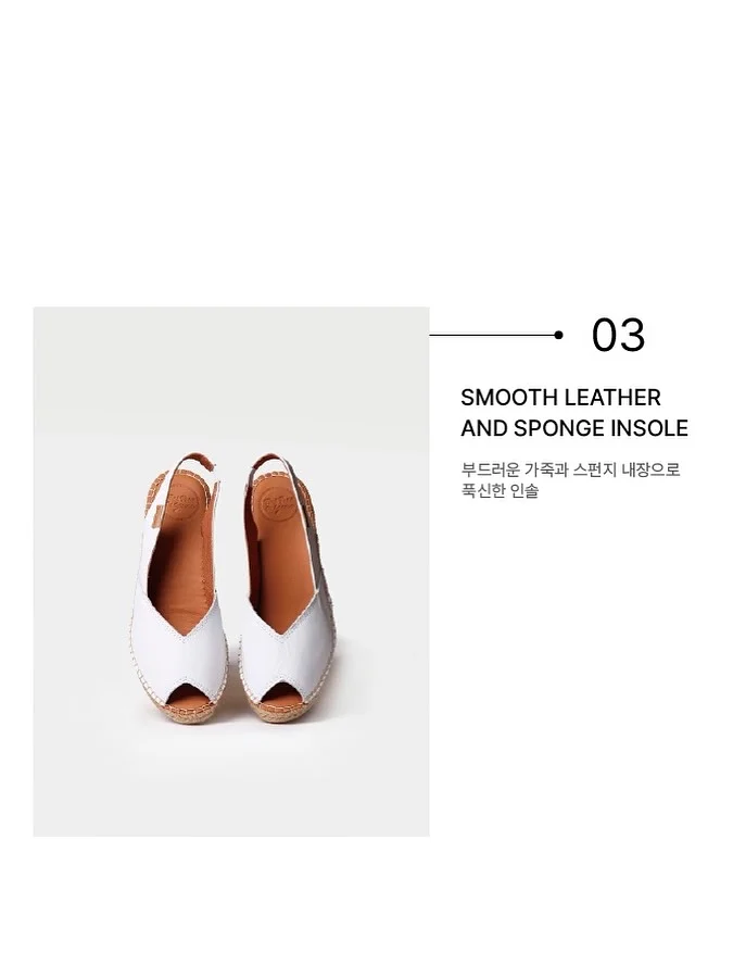 씨없는 수박 6