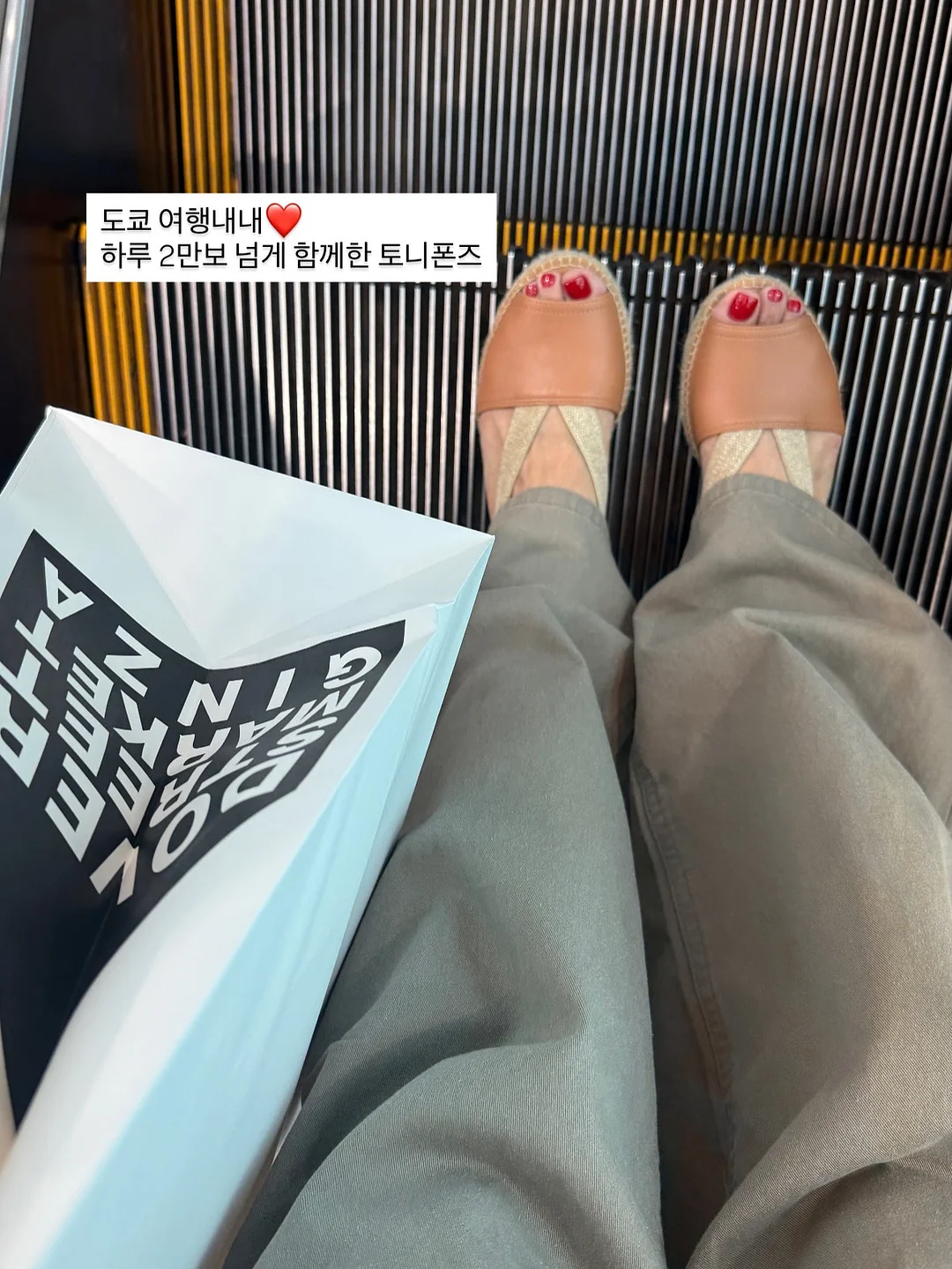 씨없는 수박 9
