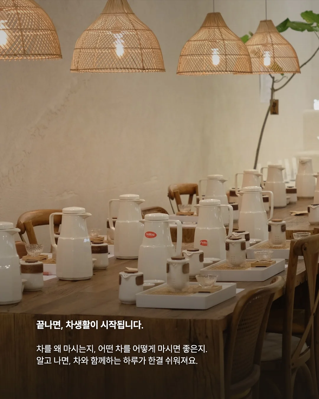 오누 봄신상 3