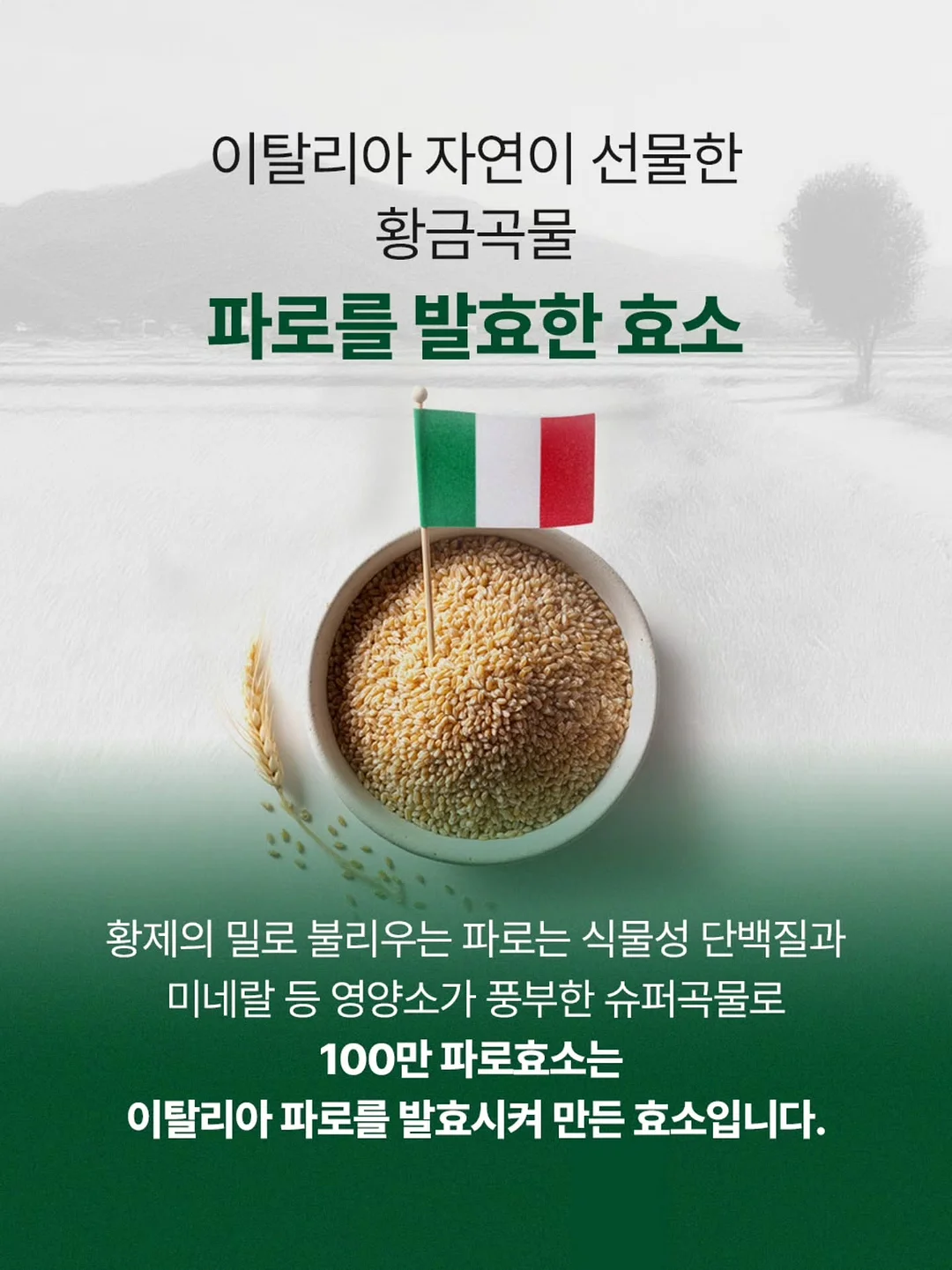 창억떡 18