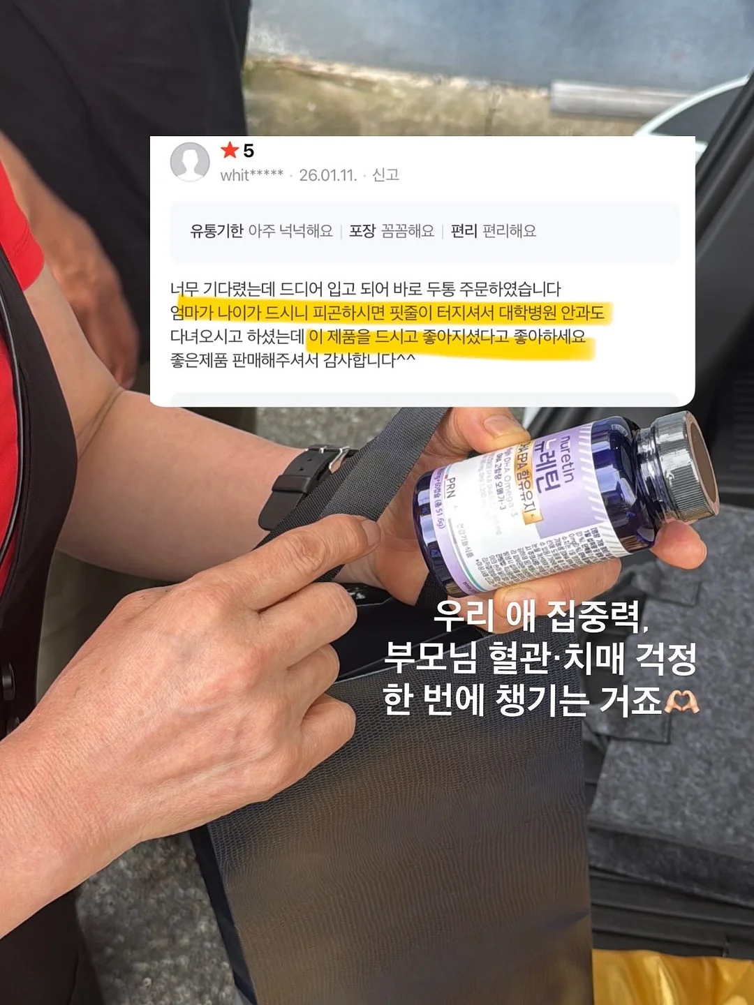 병솔나무 8