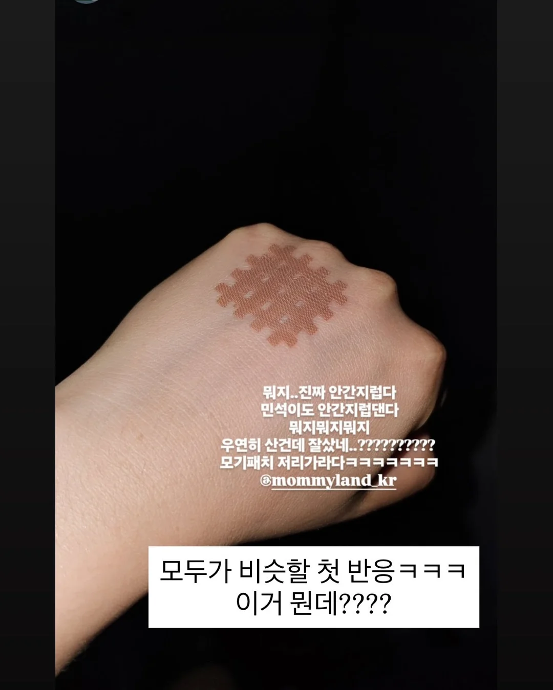더잭슨즈 라탄백 11