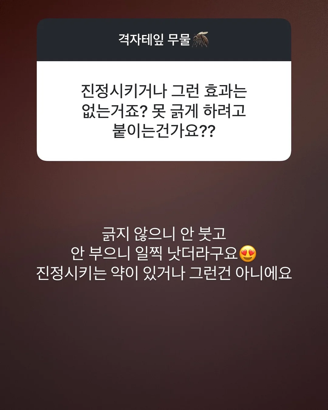 더잭슨즈 라탄백 16