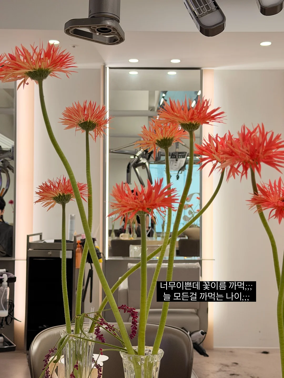 욕실 물기 제거 스퀴지 4