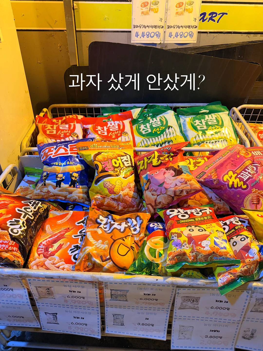 욕실 물기 제거 스퀴지 8