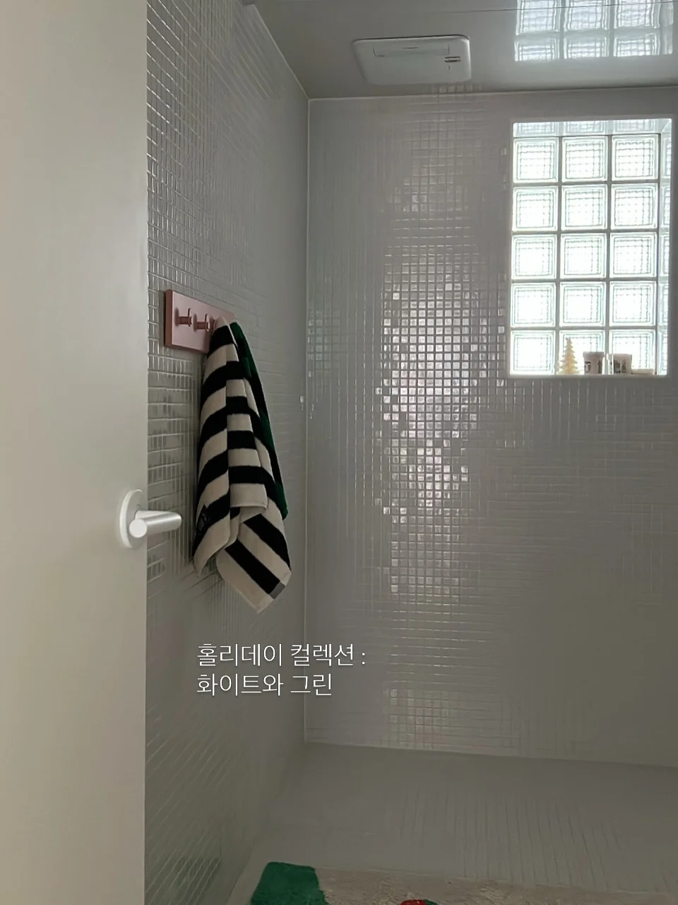 카멜레온 네일 스티커 13