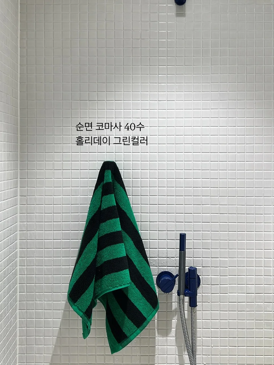 카멜레온 네일 스티커 4