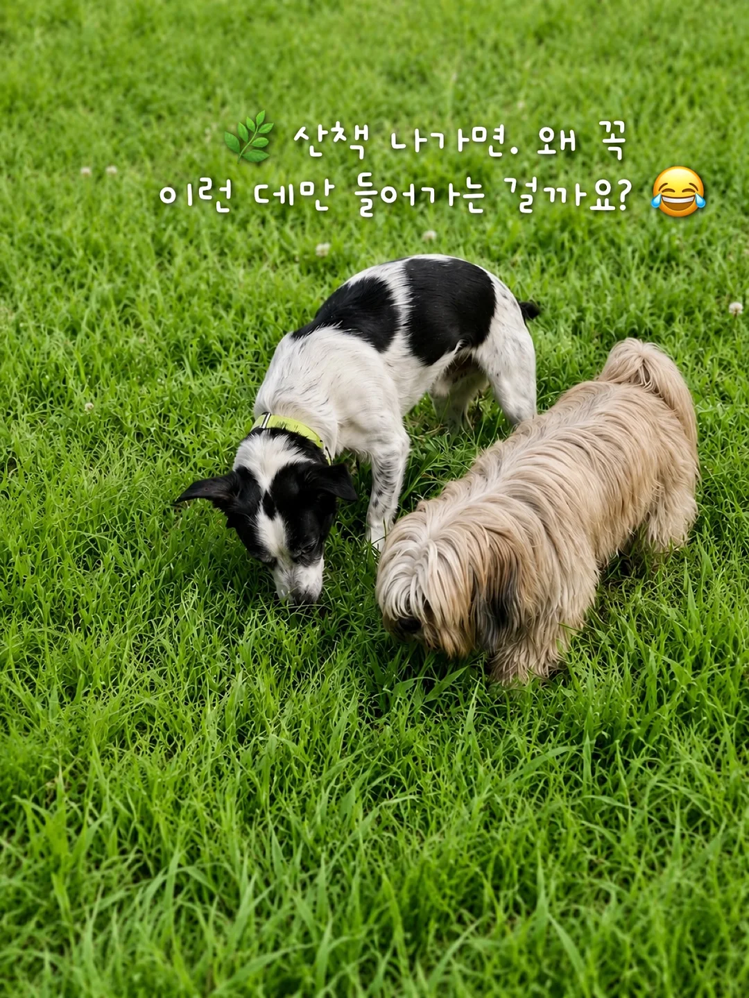 별별별 데님 반바지 1