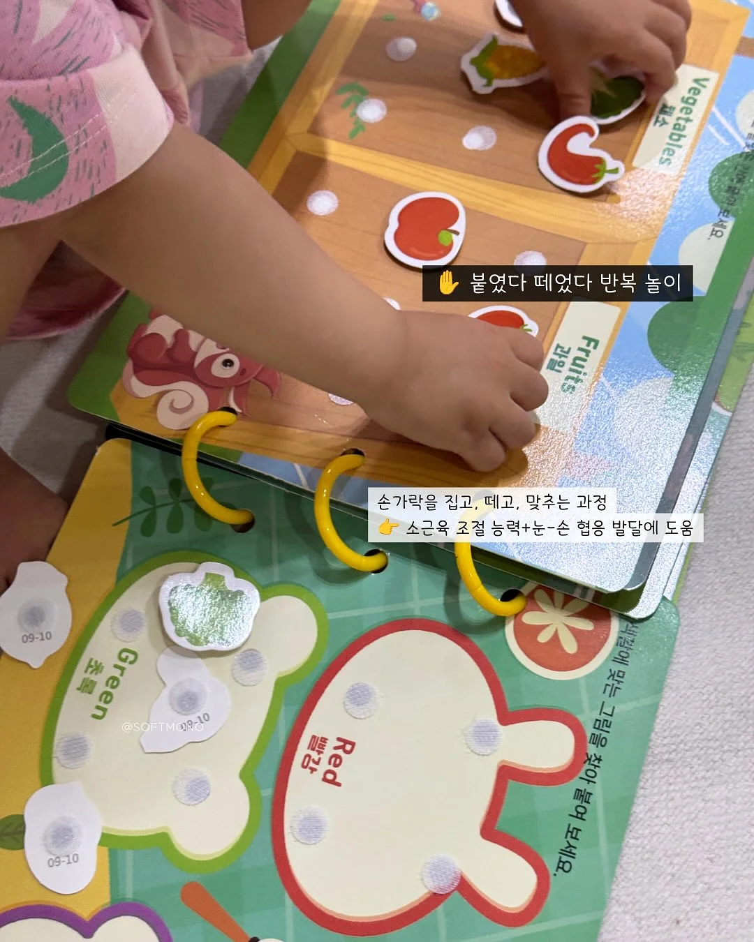 가히스튜디오 백일/돌상 대여 3