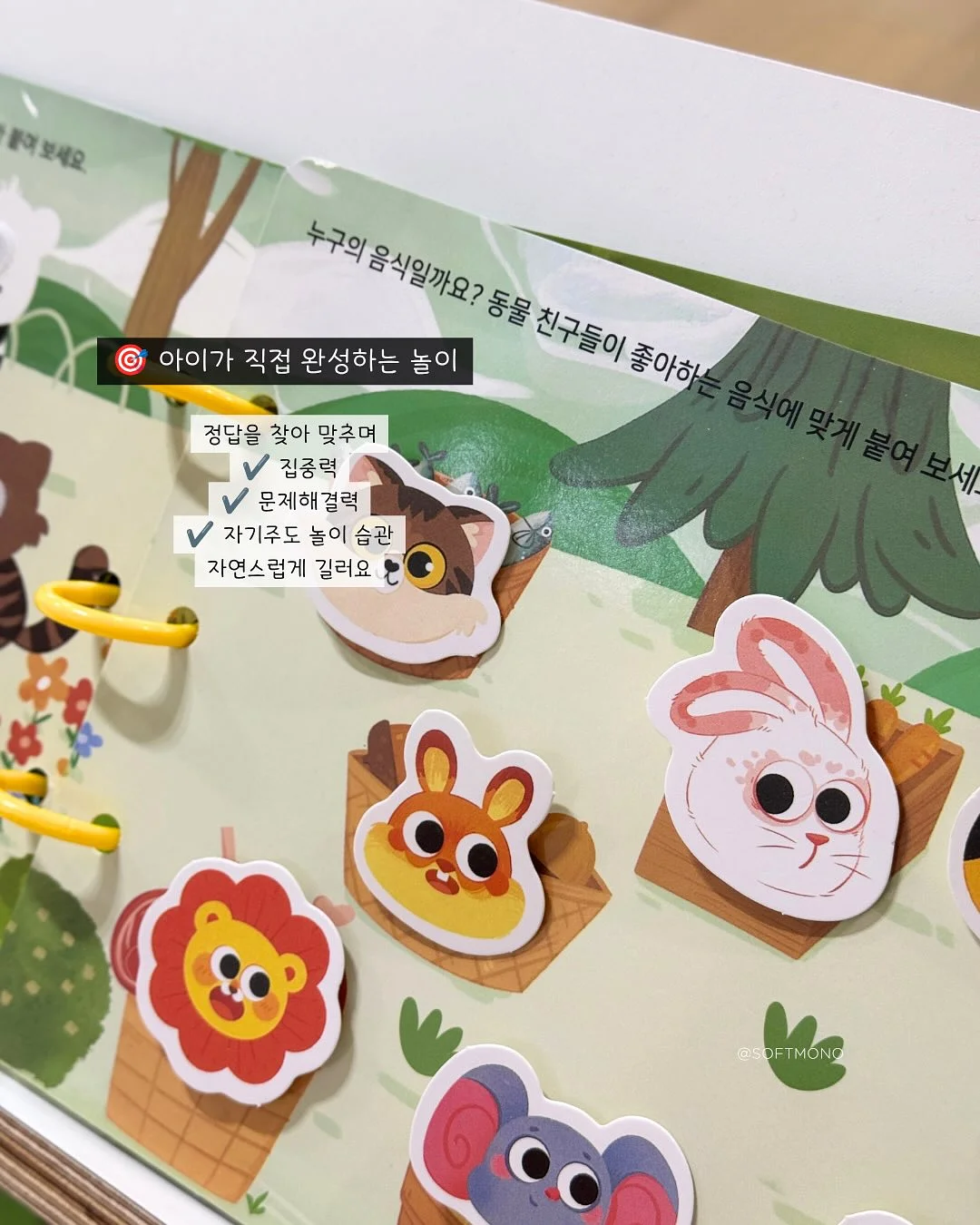 가히스튜디오 백일/돌상 대여 4
