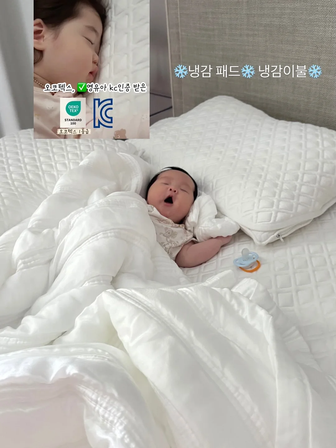 패디아트 6