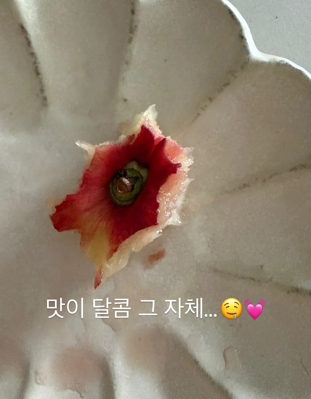 차량 후디 시트 5