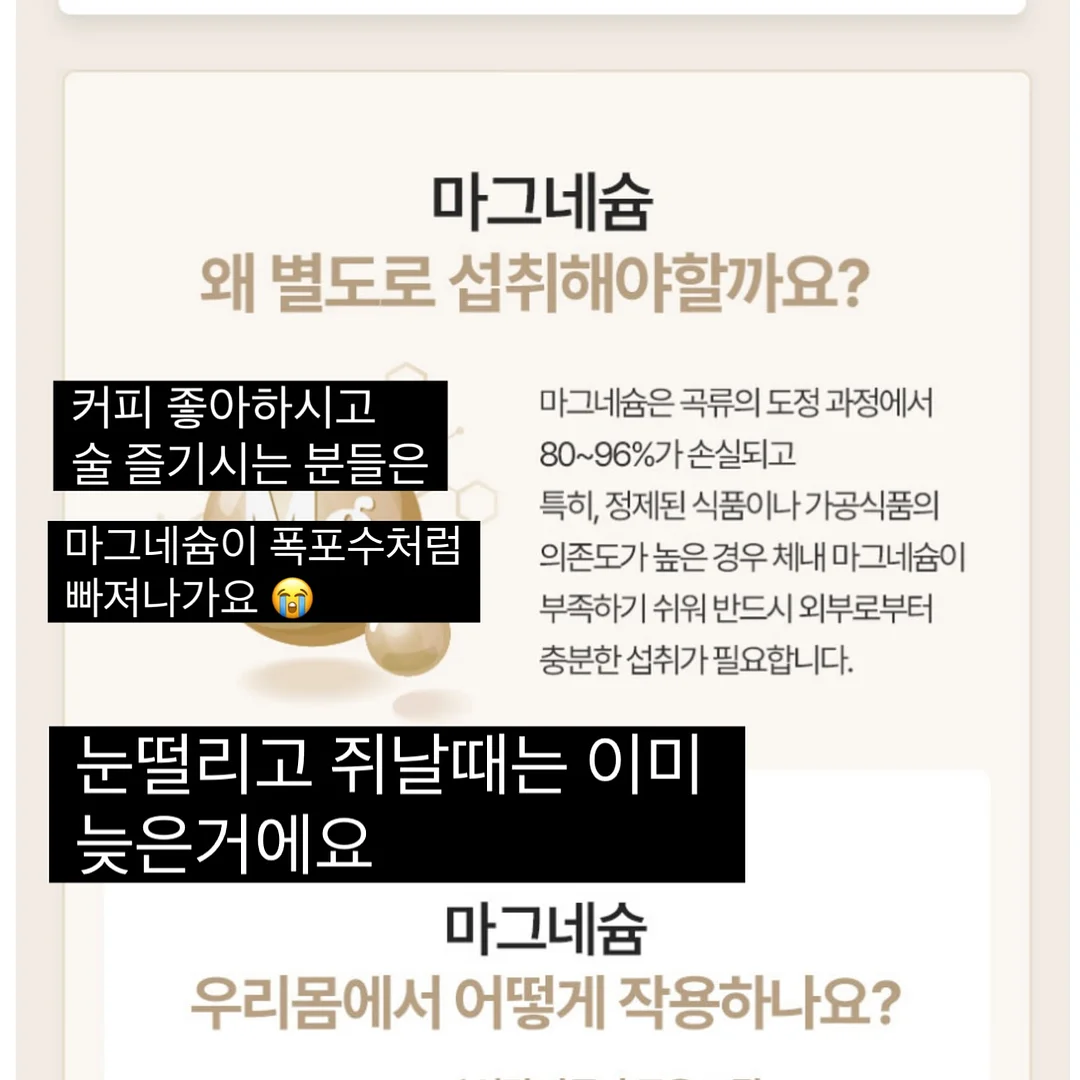 달항아리 리빙 미니 5
