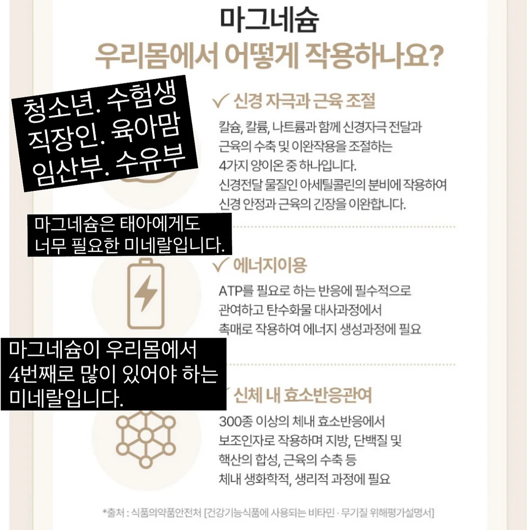 달항아리 리빙 미니 6