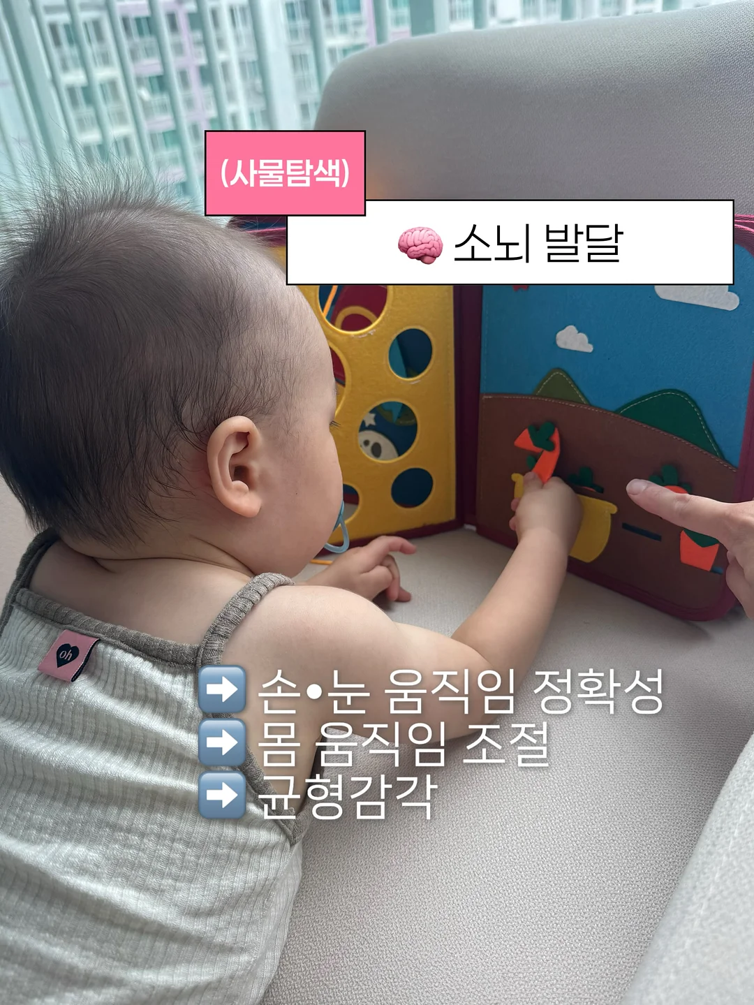 우드스탁 식물 3